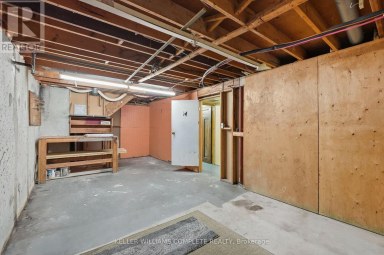 228 GOLDEN ORCHARD DRIVE Hamilton (Gourley) Ontario photo 21