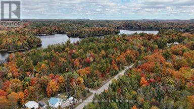 10417 COUNTY ROAD 503 Highlands East (Glamorgan) Ontario photo 33