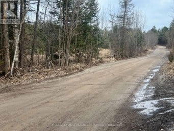 00 CENTRE DUMMER ROAD Douro-Dummer Ontario photo 4