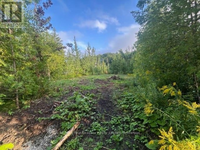 122 JAMES STREET, Blue Mountains, Ontario, L9Y0T6
