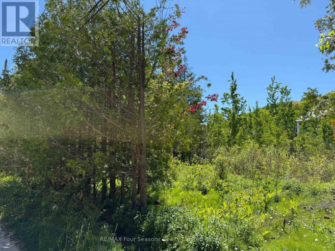 122 JAMES STREET, Blue Mountains, Ontario, L9Y0T6