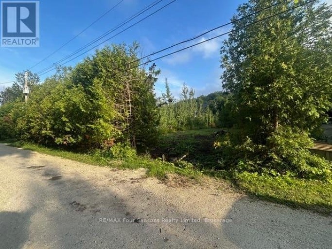 122 JAMES STREET, Blue Mountains, Ontario, L9Y0T6