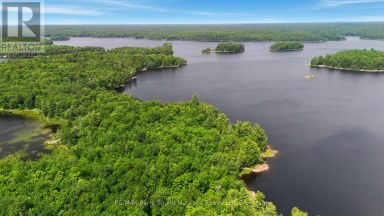 5 W/A LAKE WAHWASHKESH Whitestone Ontario photo 6