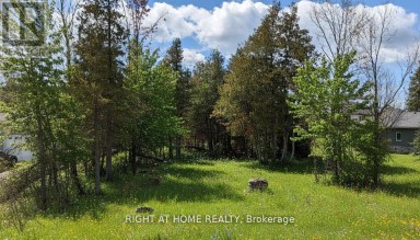 239 FRONT STREET W Kawartha Lakes (Bobcaygeon) Ontario photo 2