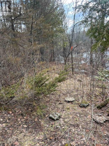 00 N. DUMMER 7TH LINE ROAD, Douro-Dummer, Ontario, K0L2H0