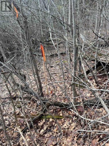 00 N. DUMMER 7TH LINE ROAD, Douro-Dummer, Ontario, K0L2H0
