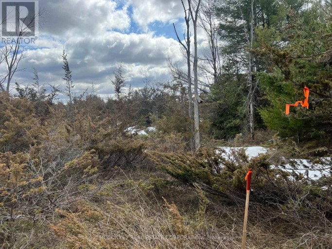 00 N. DUMMER 7TH LINE ROAD, Douro-Dummer, Ontario, K0L2H0