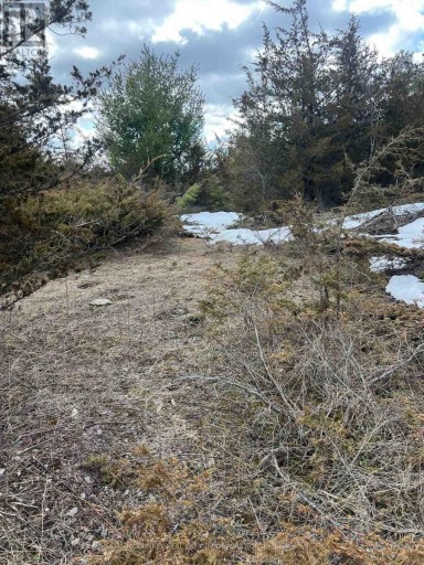 00 N. DUMMER 7TH LINE ROAD, Douro-Dummer, Ontario, K0L2H0