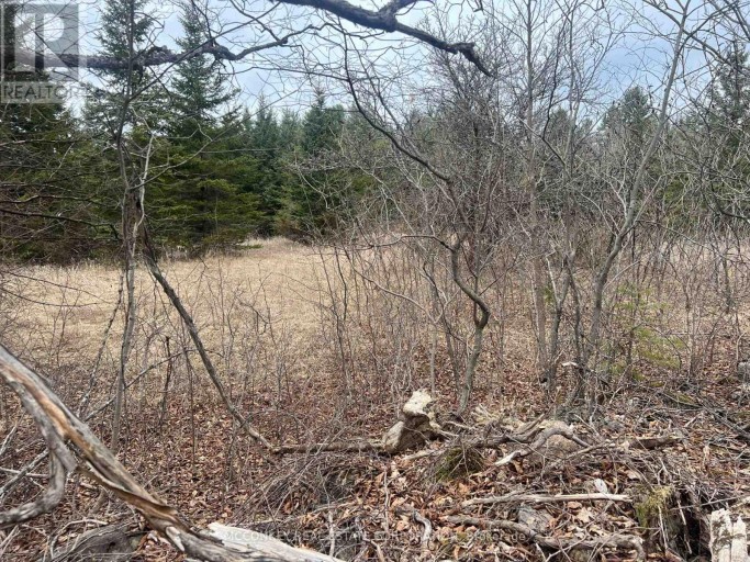 00 N. DUMMER 7TH LINE ROAD, Douro-Dummer, Ontario, K0L2H0