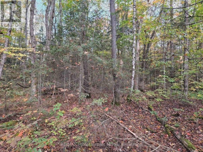 3907 STISTED ROAD, McMurrich/Monteith (McMurrich), Ontario, P0A1Y0