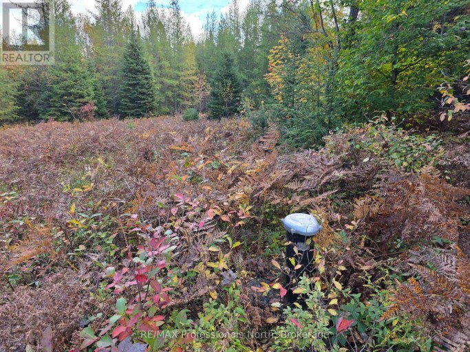 3907 STISTED ROAD, McMurrich/Monteith (McMurrich), Ontario, P0A1Y0