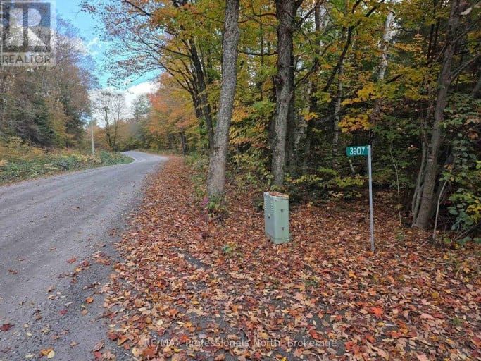 3907 STISTED ROAD, McMurrich/Monteith (McMurrich), Ontario, P0A1Y0
