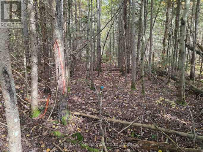3907 STISTED ROAD, McMurrich/Monteith (McMurrich), Ontario, P0A1Y0