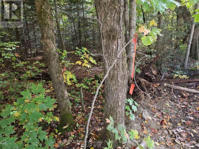 3907 STISTED ROAD, McMurrich/Monteith (McMurrich), Ontario, P0A1Y0