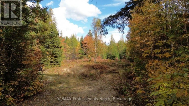 3907 STISTED ROAD, McMurrich/Monteith (McMurrich), Ontario, P0A1Y0