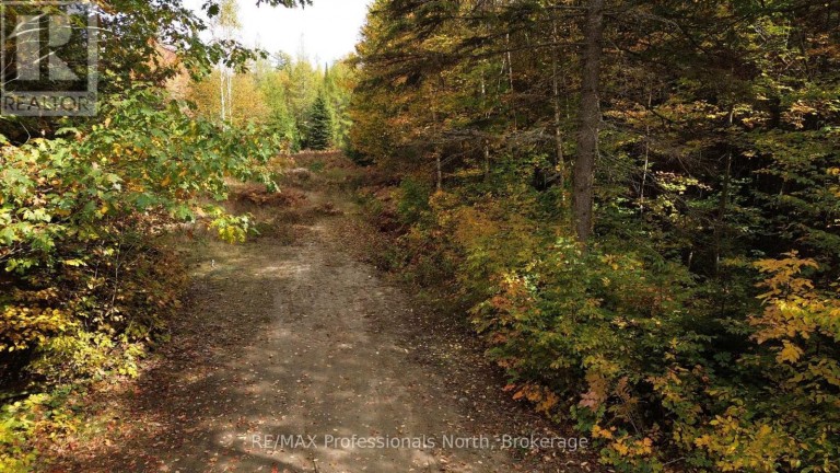 3907 STISTED ROAD, McMurrich/Monteith (McMurrich), Ontario, P0A1Y0