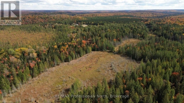 3907 STISTED ROAD, McMurrich/Monteith (McMurrich), Ontario, P0A1Y0