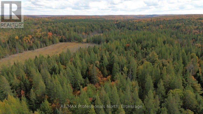 3907 STISTED ROAD, McMurrich/Monteith (McMurrich), Ontario, P0A1Y0