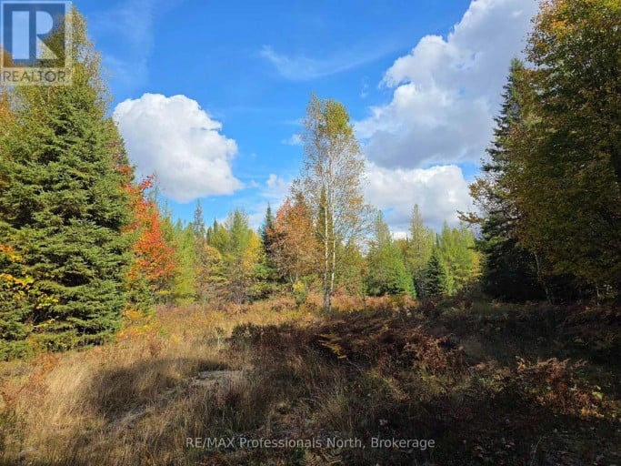 3907 STISTED ROAD, McMurrich/Monteith (McMurrich), Ontario, P0A1Y0