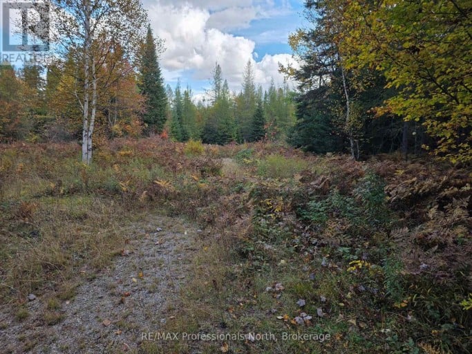 3907 STISTED ROAD, McMurrich/Monteith (McMurrich), Ontario, P0A1Y0