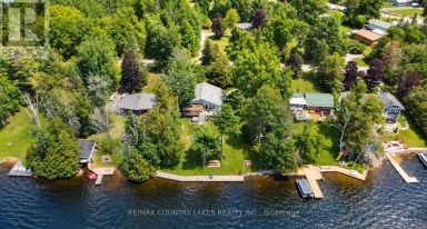 27 HILLCREST AVENUE Kawartha Lakes (Carden) Ontario photo 45