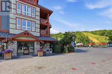 201 - 152 JOZO WEIDER BOULEVARD Blue Mountains Ontario photo 3