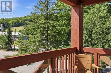 201 - 152 JOZO WEIDER BOULEVARD Blue Mountains Ontario photo 41