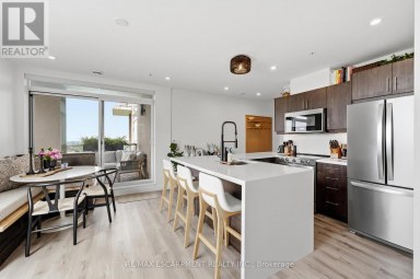 403 - 455 CHARLTON AVENUE E Hamilton (Stinson) Ontario photo 4