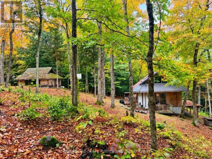 1005 MCARTHUR POINT ROAD, Lake of Bays (Ridout), Ontario, P0B1A0