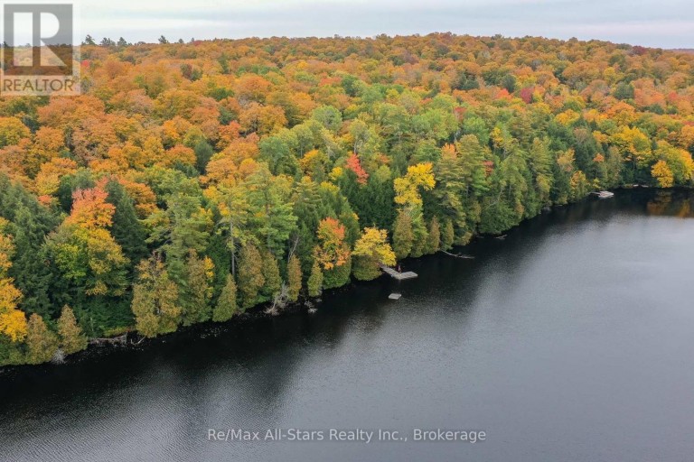 1005 MCARTHUR POINT ROAD, Lake of Bays (Ridout), Ontario, P0B1A0