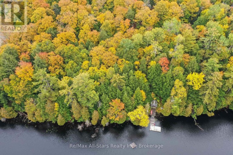 1005 MCARTHUR POINT ROAD, Lake of Bays (Ridout), Ontario, P0B1A0