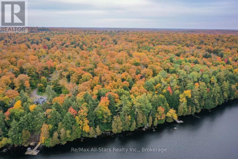 1005 MCARTHUR POINT ROAD, Lake of Bays (Ridout), Ontario, P0B1A0