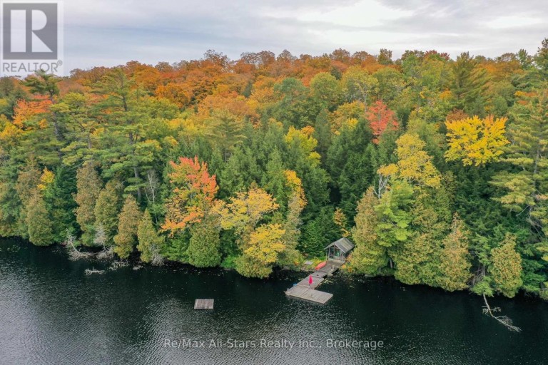 1005 MCARTHUR POINT ROAD, Lake of Bays (Ridout), Ontario, P0B1A0