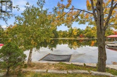 36 JACK PINE WAY Trent Lakes Ontario photo 33