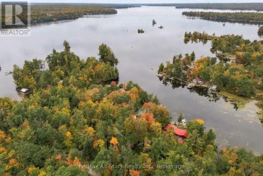 36 JACK PINE WAY Trent Lakes Ontario photo 37