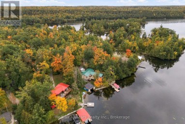 36 JACK PINE WAY Trent Lakes Ontario photo 38