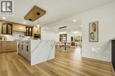 1303 87 Avenue SW Calgary Alberta photo 20