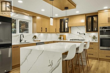 1303 87 Avenue SW Calgary Alberta photo 23