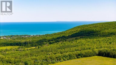 728454 21ST SIDE ROAD Blue Mountains Ontario photo 4