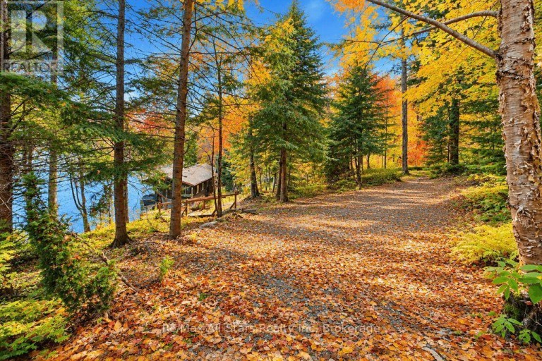 14 60 HIGHWAY E, South Algonquin, Ontario, P0A1H0