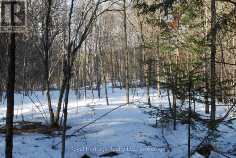 99 FUTURE LANE, Stirling-Rawdon (Rawdon Ward), Ontario, K0K2M0