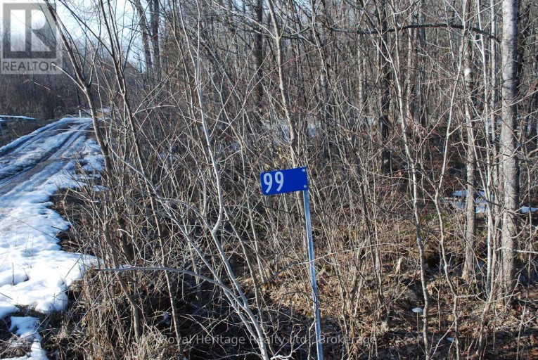 99 FUTURE LANE, Stirling-Rawdon (Rawdon Ward), Ontario, K0K2M0