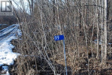 99 FUTURE LANE Stirling-Rawdon (Rawdon Ward) Ontario photo 11