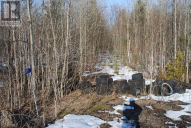 99 FUTURE LANE Stirling-Rawdon (Rawdon Ward) Ontario photo 12