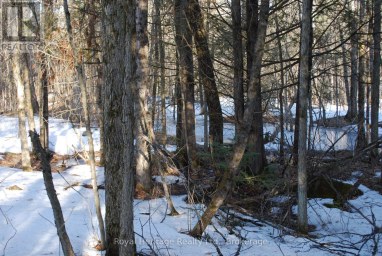 99 FUTURE LANE Stirling-Rawdon (Rawdon Ward) Ontario photo 2