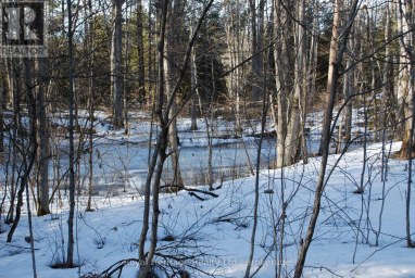 99 FUTURE LANE Stirling-Rawdon (Rawdon Ward) Ontario photo 3
