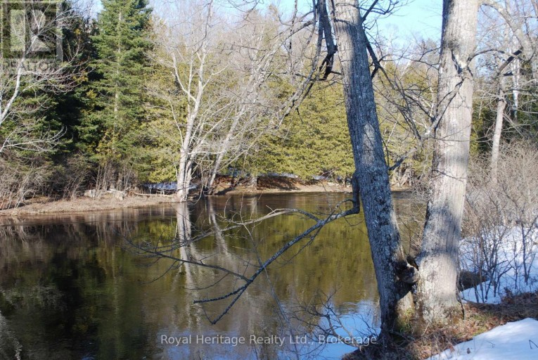 99 FUTURE LANE, Stirling-Rawdon (Rawdon Ward), Ontario, K0K2M0