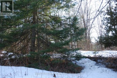 99 FUTURE LANE Stirling-Rawdon (Rawdon Ward) Ontario photo 8
