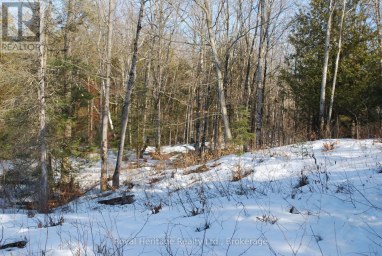 99 FUTURE LANE Stirling-Rawdon (Rawdon Ward) Ontario photo 9