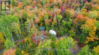 4249 OLD HASTINGS ROAD Limerick Ontario photo 15
